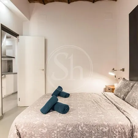 Apartament Acogedor En El Eixample *