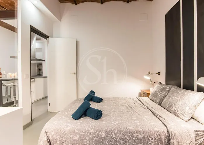 Apartment Acogedor En El Eixample *